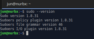 sudo version 1.8.31